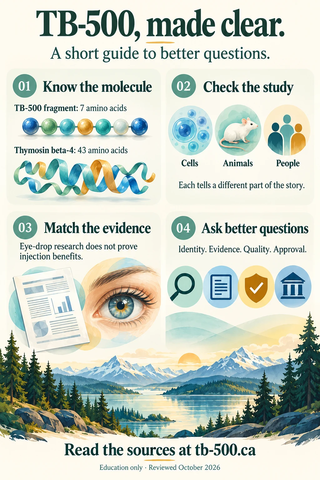 Four illustrated steps: know the molecule, check the study, match the evidence, and ask better questions. A complete text version is on the infographic page.